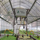 Ffyniant Dyfrhau Tŷ Gwydr Meithrinfa Singapore